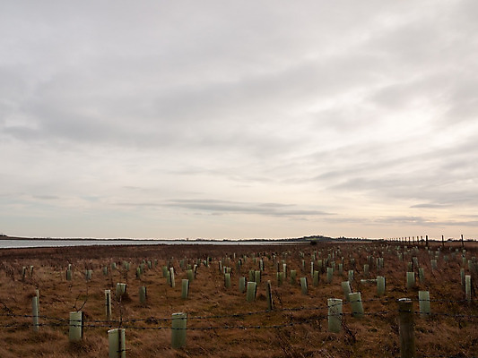 포토 JPG 해외이미지 구름 바다 섬 밭 자연 하늘 건조 풍경 사람없음 야외 초록색 물 반짝임 강 검은색 어둠 봄 회색 시골 체험 저녁 숲 신비 그림 장면 스카이라인 흐림 수평선 해외202004 해외포토 자연요소 계절 컬러 컨셉 농업 모션 날씨 야간 생태계 파일형식 이미지허브