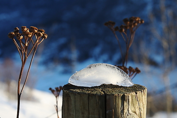 포토 JPG 해외이미지 계절 백그라운드 겨울 자연 사람없음 파란색 태양 냉동 얼음 흰색 큐브 말뚝 해외202004 해외포토 자연요소 컬러 생태계 파일형식 이미지허브