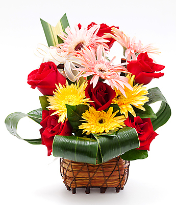 포토 JPG 해외이미지 식물 꽃잎 꽃 길 분홍색 꽃다발 백그라운드 잎 꽃무늬 자연 발렌타인데이 선물 사랑 씨앗 사람없음 장식 빨간색 초록색 컬러풀 장미 노란색 바구니 벚꽃 흰색 신선 원형 우아함 혼합 배열 묘사 질감 거베라 내추럴 고립 해외202004 해외포토 도형 감정 컬러 컨셉 무늬 데이이벤트 생태계 파일형식 이미지허브