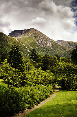 포토 JPG 해외이미지 나무 유럽 자연 산 북유럽 노르웨이 풍경 사람없음 야외 정원 스칸디나비아 해외202004 해외포토 식물 나라 생태계 파일형식 이미지허브