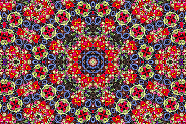 포토 JPG 해외이미지 디자인 꽃잎 꽃 백그라운드 꽃무늬 패턴 자연 추상 프레임 미술 사람없음 유행 거울 질감 대칭 만화경 해외202004 해외포토 식물 무늬 문화예술 장난감 생태계 파일형식 이미지허브