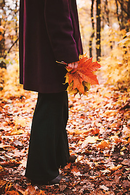 포토 JPG 해외이미지 나무 식물 손 계절 꽃다발 장갑 단풍 잎 오렌지 자연 사람 사람없음 야외 세로 초록색 노란색 검은색 산책 코트 가을 숲 필름 향수 우울감 필터 효과 해외202004 해외포토 잡화 꽃 감정 컬러 과일 휴식 신체부위 화장품 외투 생태계 파일형식 이미지허브