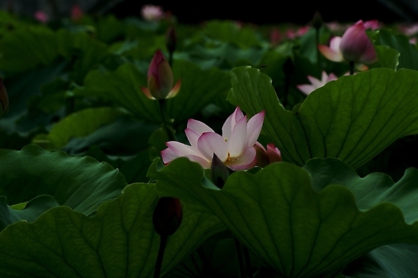 포토 JPG 해외이미지 사람없음 해외202004 해외포토 파일형식 이미지허브