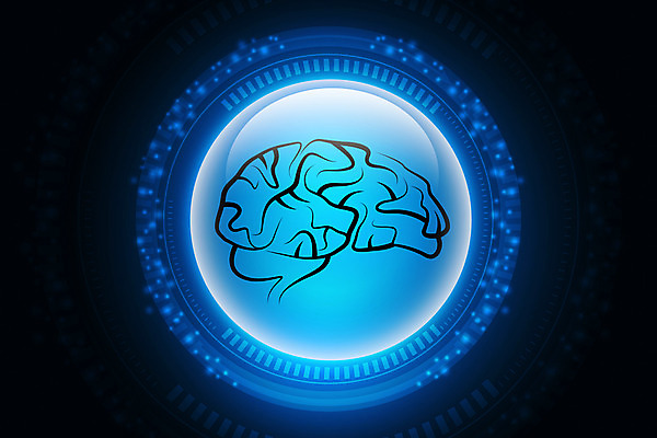 포토 JPG 해외이미지 손 줄기 과학 백그라운드 신체 부분 해부 사람 사람없음 그래픽 약 머리 마음 감각 오르간 코드 스케치 불안 스마트 척추 뇌 그림 생물학 지역 시스템 고립 타격 해외202004 해외포토 식물 교육 감정 컨셉 의학 모션 뼈 미술 신체부위 건반악기 파일형식 이미지허브