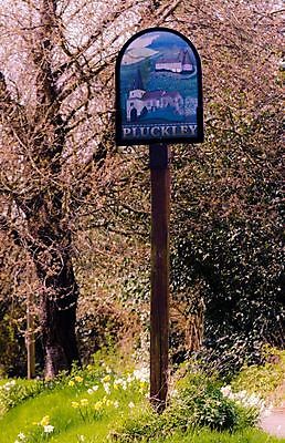 포토 JPG 해외이미지 나무 영국 잉글랜드 사람없음 마을 시골 사인 그림 해외202004 해외포토 식물 유럽 파일형식 이미지허브