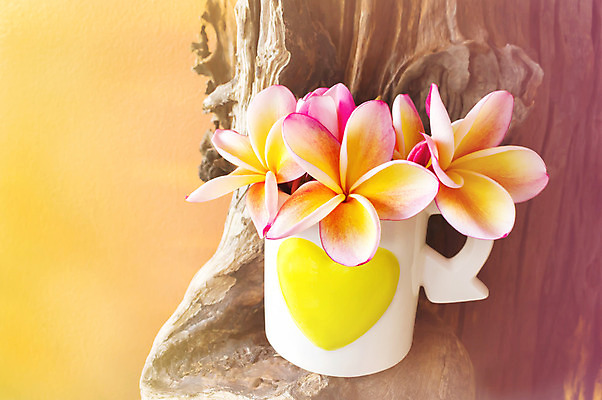 포토 JPG 해외이미지 꽃 분홍색 백그라운드 패턴 자연 발렌타인데이 사랑 사람없음 장식 컵 컬러풀 노란색 귀여움 수확 하트 신선 그룹 배열 향기 통나무 부드러움 내추럴 미니 수목 해외202004 해외포토 모양 나무 식물 식기 감정 컬러 컨셉 무늬 농업 데이이벤트 감각 생태계 냄새 파일형식 이미지허브