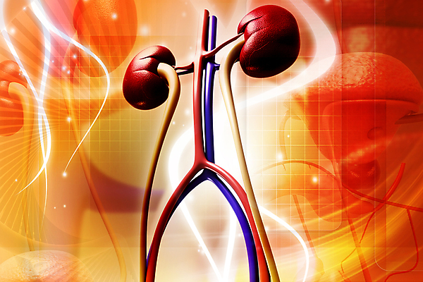 포토 JPG 해외이미지 백그라운드 일러스트 상상 추상 사람없음 그래픽 초록색 3D 디지털 신장 질감 고립 효과 해외202004 해외일러스트 컬러 무늬 비뇨기관 디지털합성 파일형식 이미지허브