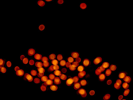 포토 JPG 해외이미지 도로 여행 백그라운드 크리스마스 교통시설 모션 자동차 추상 불꽃 거리 사람없음 아웃포커스 빨간색 파란색 빛 노란색 검은색 어둠 활발 도시 고급 야간 소프트포커스 출퇴근 방콕 보케 정의 방법 블러 많음 유흥 해외202004 해외포토 자연요소 기념일 길 육상교통 컬러 교통 컨셉 무늬 비즈니스 태국 불 촬영기법 시설 파일형식 이미지허브