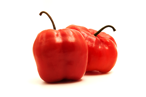 포토 JPG 해외이미지 스튜디오촬영 채소 고추 피망 사람없음 닫기 자르기 흰배경 고립 정물화 페루 해외202004 해외포토 백그라운드 모션 실내 흰색 남아메리카 그림 파일형식 이미지허브