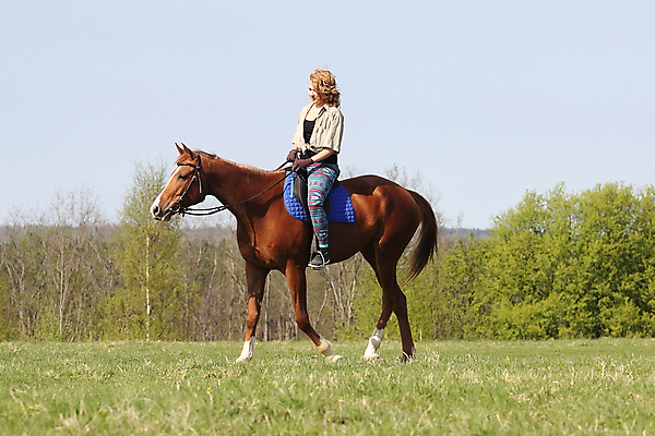 포토 JPG 해외이미지 동물 백인 스포츠 포유류 자연 한명 사람 야외 빨간색 여름 파란색 반려동물 농장 갈색 머리 검은색 교수 목장 승마 우아함 정상 승차 꼬리 갈기 기르기 라이더 러시아인 완벽 해외202004 해외포토 서양인 1 계절 컬러 컨셉 농업 모션 신체부위 교사 생태계 돌봄 파일형식 이미지허브