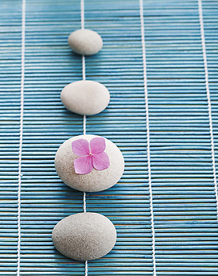 포토 JPG 해외이미지 식물 꽃 선 분홍색 백그라운드 컨셉 잎 자연 휴식 건강 사람없음 목재 치료 파란색 평화 스파 화목 고요 목욕 흰색 신선 마사지 난초 고급 배열 대나무 순수 명상 유기농 아로마 수국 아로마테라피 테라피 내추럴 돌봄 카피스페이스 해외202004 해외포토 나무 웰빙 컬러 재료 의학 모션 뷰티 청결 공백 생태계 파일형식 이미지허브