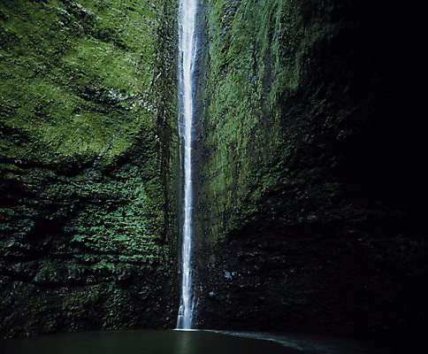 포토 JPG 해외이미지 백그라운드 자연 이끼 사람없음 야외 초록색 물 평화 화목 침묵 고요 절벽 폭포 신선 비교 해조류 순수 상쾌 눈금 치수 지형 해외202004 해외포토 자연요소 감정 컬러 컨셉 소리 해양식물 생태계 파일형식 이미지허브