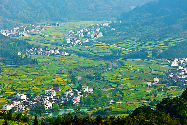 포토 JPG 해외이미지 꽃 산업 아시아 문화 밭 농업 자연 산 주택 파노라마 동양인 풍경 사람없음 건물 가로 초록색 농작물 농장 노란색 마을 중국 봄 꿈 벚꽃 시골 땅 유채 장면 동쪽 내추럴 밭일 뿌연 카놀라 세련 해외202004 해외포토 식물 건축물 계절 나라 컬러 촬영기법 인종 방향 생태계 파일형식 이미지허브