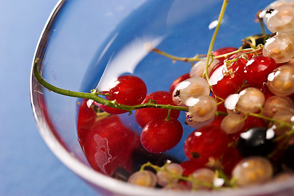 포토 JPG 해외이미지 열매 음식 과일 디저트 건강 사람없음 성장 신선 달콤 맛 내추럴 건포도 숙성 해외202004 해외포토 식물 컨셉 포도 건과일 파일형식 이미지허브