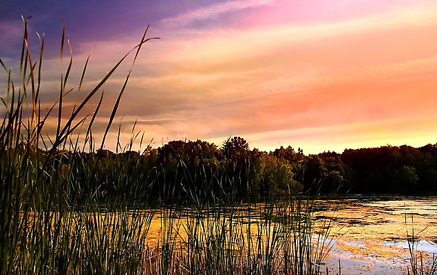 포토 JPG 해외이미지 나무 호수 오렌지 자연 하늘 아침 풍경 사람없음 빨간색 파란색 강 컬러풀 농장 반사 가을 북쪽 해외202004 해외포토 주간 식물 계절 컬러 농업 과일 방향 생태계 파일형식 이미지허브