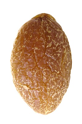 포토 JPG 해외이미지 식물 음식 농업 과일 재료 자연 디저트 건조 건강 사람없음 닫기 달콤 올리브 내추럴 고립 해외202004 해외포토 열매 산업 모션 맛 생태계 파일형식 이미지허브