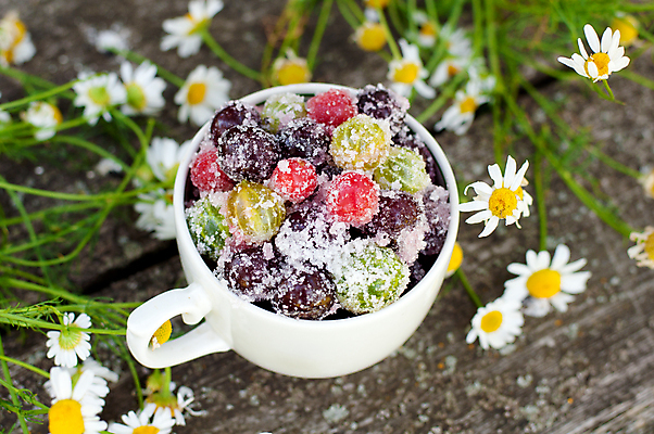 포토 JPG 해외이미지 열매 꽃 음식 디저트 사람없음 컵 여름 수확 흰색 신선 체리 달콤 맛 미끄럼틀 잼 설탕 구스베리 숙성 캐모마일 핸드메이드 많음 해외202004 해외포토 식물 식기 계절 컬러 컨셉 농업 과일 소스_음식 놀이기구 허브 파일형식 이미지허브