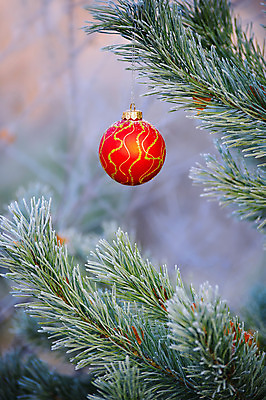 포토 JPG 해외이미지 나무 전통 디자인 계절 행복 백그라운드 크리스마스 겨울 자연 휴가 새로움 매달리기 사람없음 장식 빨간색 초록색 빛 노란색 축제 장식볼 나뭇가지 축하 인사 소나무 황금 숲 12월 연도 내추럴 여의주 해외202004 해외포토 식물 기념일 감정 컬러 컨셉 모션 예절 날짜 생태계 파일형식 이미지허브