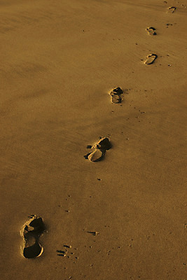 포토 JPG 해외이미지 1 모래 백그라운드 발 사람없음 야외 모래사장 걷기 산책 역사 황금 고독 인쇄 발자국 질감 트랙 아일랜드 무거움 단계 벌거벗은 선로 양발 혼자 각인 유일 해외202004 해외포토 감정 유럽 바다 자국 모션 휴식 신체부위 무게 파일형식 이미지허브