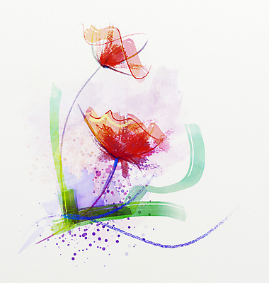 JPG 해외이미지 꽃 일러스트 수채화 미술 사람없음 두송이 그림 손그림 양귀비 해외202004 해외일러스트 식물 2 문화예술 파일형식 이미지허브