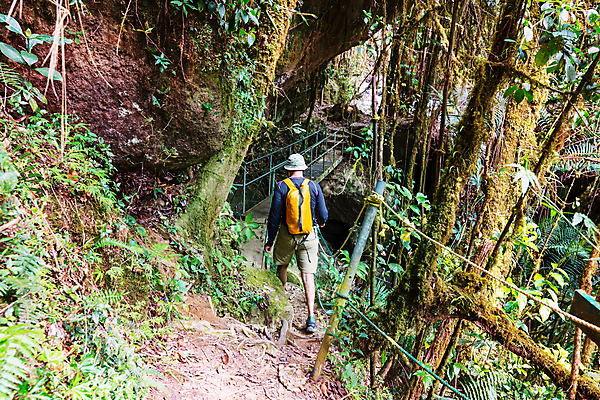 포토 JPG 해외이미지 나무 식물 공원 길 여행 자국 자연 산 매달리기 한명 풍경 야외 초록색 여름 여행객 환경 미국 트래킹 폭포 하이킹 관찰 숲 오솔길 열대우림 지역 내추럴 방법 백패커 산악가 전국 코스타리카 하이커 혼자 해외202004 해외포토 1 계절 공공시설 컬러 북아메리카 모션 레저 사람 중앙아메리카 생태계 파일형식 이미지허브