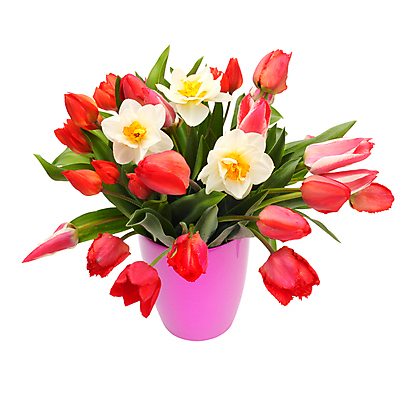 포토 JPG 해외이미지 꽃 꽃다발 잎 사람없음 빨간색 초록색 꽃병 튤립 축하 신용카드 냄비 초대 수선화 고립 해외202004 해외포토 식물 컬러 컨셉 금융 솥 파일형식 이미지허브