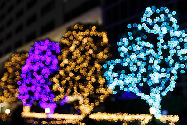 포토 JPG 해외이미지 디자인 백그라운드 크리스마스 패턴 추상 휴가 새로움 미술 사람없음 장식 파란색 빛 컬러풀 노란색 보라색 축제 어둠 점 원형 야간 소프트포커스 연도 보케 빛망울 광 블러 유흥 효과 해외202004 해외포토 자연요소 도형 기념일 컬러 컨셉 무늬 문화예술 촬영기법 파일형식 이미지허브