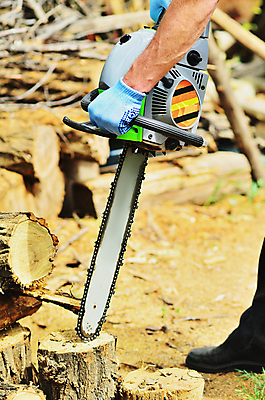 포토 JPG 해외이미지 나무 직업 손 산업 포즈 자연 노동자 수염 사람 성인 사람없음 야외 목재 빛 갈색 힘 기계 일몰 장비 공구 소나무 업무 칼날 숲 헬멧 장작 자르기 통나무 먼지 도끼 잡동사니 벌목 솜씨 수목 재주꾼 전기톱 톱밥 해외202004 해외포토 식물 컬러 재료 모션 신체부위 노을 도구 작업 보호장비 가루 생태계 톱 파일형식 이미지허브