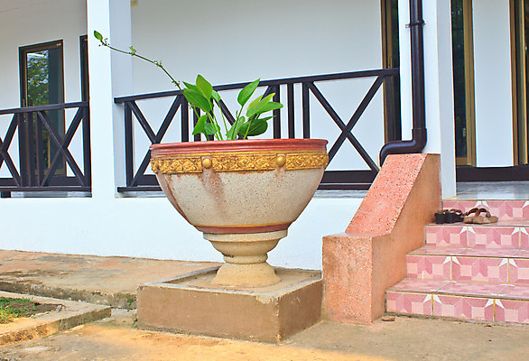 포토 JPG 해외이미지 식물 꽃 건축양식 거리 사람없음 야외 장식 초록색 계단 꽃병 중국 도시 냄비 큼 묘사 생태학 콘크리트 해외202004 해외포토 교육 건축 아시아 컬러 솥 크기 파일형식 이미지허브