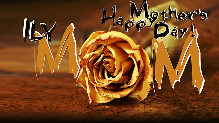 포토 JPG 해외이미지 식물 꽃잎 꽃 감정 줄기 꽃무늬 자연 건조 발렌타인데이 사랑 사람없음 목재 장식 장미 노란색 슬픔 수확 골동품 축하 죽음 향수 묘사 싱글 질감 복고 시들음 내추럴 썩음 옛날 조언 취급주의 혼자 해외202004 해외포토 나무 컬러 컨셉 무늬 농업 재료 데이이벤트 경고 화장품 생태계 파일형식 이미지허브