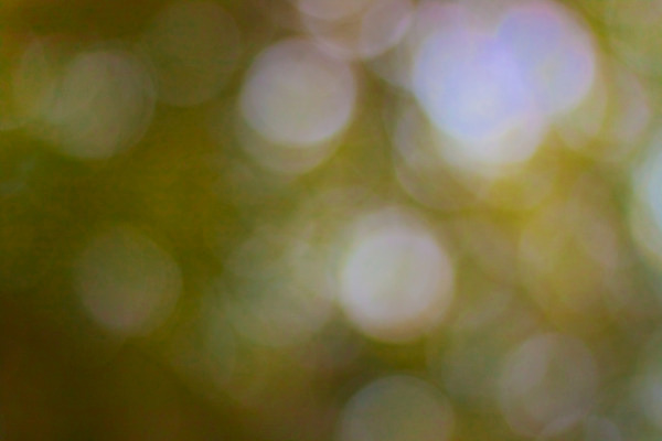 포토 JPG 해외이미지 디자인 행복 별 분홍색 백그라운드 추상 사람없음 장식 빨간색 파란색 빛 반짝임 노란색 검은색 축제 원형 화려 야간 소프트포커스 보케 빛망울 엘리먼트 해외202004 해외포토 자연요소 도형 감정 컬러 컨셉 무늬 모션 촬영기법 파일형식 이미지허브