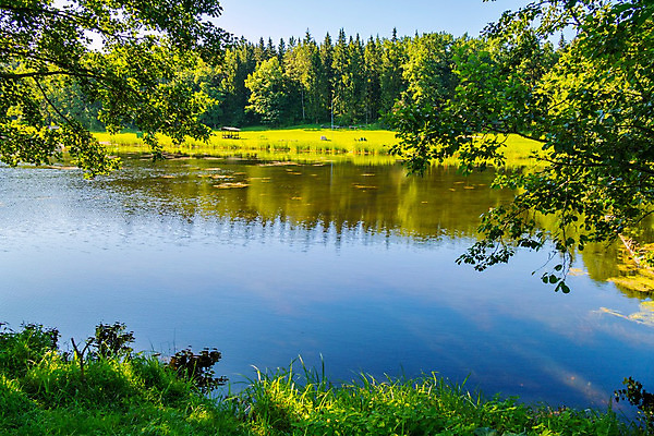 포토 JPG 해외이미지 나무 식물 공원 호수 여행 잎 자연 하늘 휴가 휴식 풍경 사람없음 야외 목재 초록색 물 여름 파란색 강 평화 마을 시골 숲 작음 장면 해외202004 해외포토 자연요소 계절 공공시설 컬러 컨셉 재료 크기 생태계 파일형식 이미지허브