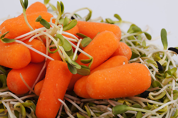 포토 JPG 해외이미지 식물 얼굴 음식 백그라운드 잎 패턴 농업 채소 재료 자연 추상 새로움 건조 건강 종류 씨앗 사람없음 초록색 새싹 주방 봄 당근 샐러드 수확 성장 흰색 신선 그룹 냄비 낟알 시리얼 유기농 질감 날것 뿌리 고립 대두 채식주의자 해외202004 해외포토 웰빙 계절 산업 컬러 컨셉 무늬 뿌리채소 신체부위 솥 생태계 채식 파일형식 이미지허브