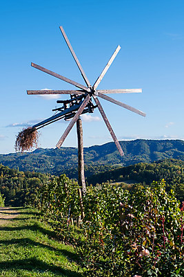 포토 JPG 해외이미지 유럽 도로 길 잎 패턴 자연 벽지 포도 풍경 사람없음 초록색 컬러풀 여행객 와인 풍차 마시기 가을 숲 언덕 포도밭 포도나무 밭일 슬로베니아 해외202004 해외포토 식물 계절 나라 컬러 무늬 밭 과일 교통시설 모션 주류 사람 과일나무 생태계 파일형식 이미지허브