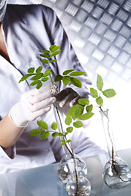 포토 JPG 해외이미지 식물 여자 실내 실험 한명 들기 상반신 성인 앞모습 액체 화학 실험실 과학자 플라스크 비커 화학실험 성인여자한명만 해외202004 해외포토 직업 1 뷰포인트 과학 모션 실험기구 사람 내부 학자 여자한명만 성인여자만 파일형식 이미지허브