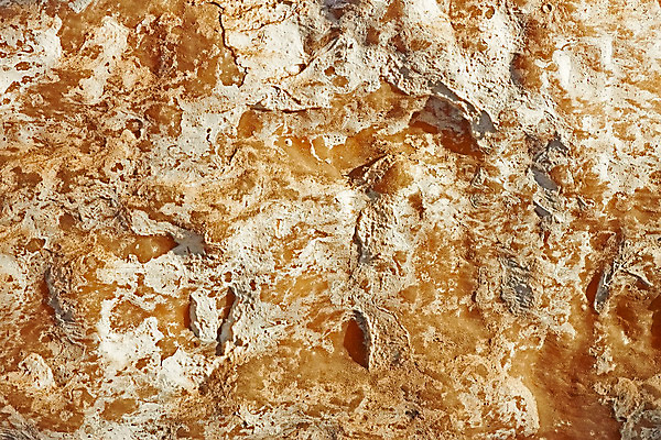 포토 JPG 해외이미지 백그라운드 패턴 자연 표면 추상 사람없음 빛 햇빛 갈색 노란색 환경 맑음 흰색 얼룩 부식 분필 질감 화석 무거움 내추럴 고체 석회암 옛날 지질 지질학 혼란 많음 막 해외202004 해외포토 교육 컬러 컨셉 무늬 날씨 태양 암석 무게 초크 생태계 파일형식 이미지허브