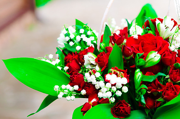 포토 JPG 해외이미지 식물 꽃잎 꽃 분홍색 꽃다발 결혼 잎 꽃무늬 자연 휴가 발렌타인데이 선물 사랑 사람없음 빨간색 초록색 장미 정원 놀람 벚꽃 흰색 다발 고립 해외202004 해외포토 감정 컬러 무늬 데이이벤트 표정 이벤트 생태계 파일형식 이미지허브