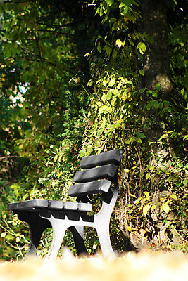 포토 JPG 해외이미지 나무 식물 라이프스타일 디자인 계절 공원 가구 백그라운드 벤치 의자 건축양식 자연 휴식 거리 주택 앉기 풍경 사람없음 야외 목재 초록색 여름 갈색 금속 정원 침묵 봄 흰색 고독 오브젝트 싱글 장면 내추럴 고립 옛날 안락 해외202004 해외포토 공공시설 건축 감정 컬러 생활용품 컨셉 재료 모션 재질 건물 생활 소리 생태계 파일형식 이미지허브