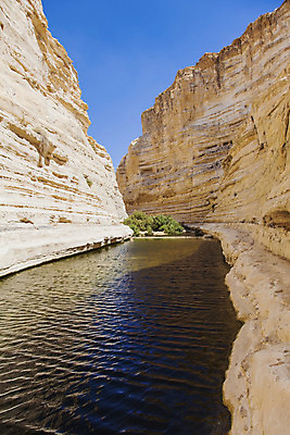포토 JPG 해외이미지 여행 자연 하늘 산 건조 풍경 사람없음 야외 물 강 컬러풀 골짜기 하이킹 사막 바위 중앙 땅 언덕 가뭄 동쪽 이스라엘 지질학 해외202004 해외포토 자연요소 교육 컬러 레저 날씨 돌_바위 방향 생태계 서아시아 파일형식 이미지허브