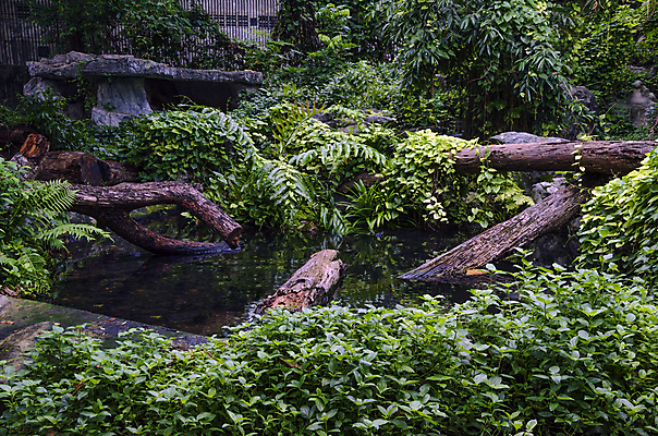 포토 JPG 해외이미지 나무 전통 디자인 옷 계절 공원 꽃 여행 백그라운드 패턴 밭 비즈니스 건축양식 바지 자연 탁자 표면 휴가 주택 프레임 미술 풍경 사람없음 야외 내부 건물 목재 장식 초록색 파란색 빛 청춘 태양 갈색 유행 어둠 놀람 공백 폭포 수확 흰색 직물 도시 면 숲 남색 싱글 질감 복고 땀 캔버스 섬유 내추럴 그런지 옛날 스타일 해외202004 해외포토 자연요소 식물 건축물 공공시설 건축 감정 컬러 가구 컨셉 무늬 농업 재료 하의 문화예술 표정 생태계 파일형식 이미지허브