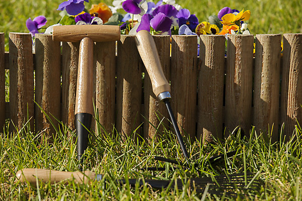 포토 JPG 해외이미지 식물 꽃 화분 장갑 백그라운드 농업 자연 사람없음 야외 초록색 여름 농장 흙 봄 성장 도구 삽 물주기 원예 원예사 해외202004 해외포토 직업 잡화 계절 산업 컬러 모션 취미 생태계 파일형식 이미지허브