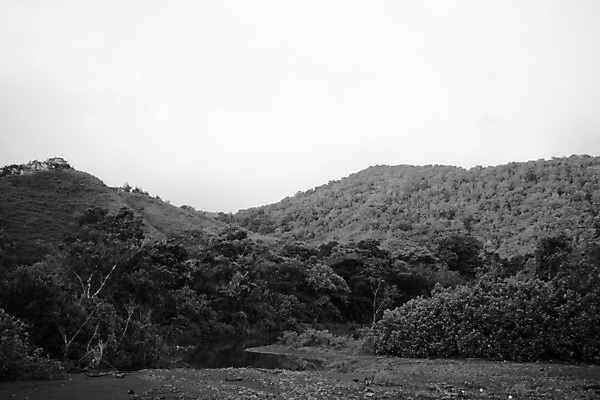 포토 JPG 해외이미지 나무 자연 산 흑백 풍경 사람없음 초록색 평화 신선 행운 황무지 중앙아메리카 신비 열대우림 순수 생태계 내추럴 파나마 해외202004 해외포토 식물 컬러 컨셉 촬영기법 아메리카 남아메리카 숲 파일형식 이미지허브
