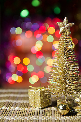 포토 JPG 해외이미지 나무 별 공 휴가 사람없음 장식 초록색 종 소프트포커스 해외202004 해외포토 자연요소 식물 컬러 촬영기법 파일형식 이미지허브