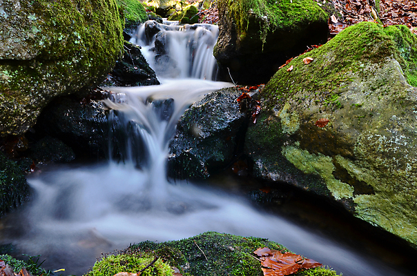포토 JPG 해외이미지 여행 모션 자연 산 풍경 사람없음 초록색 물 강 달리기 환경 침묵 봄 폭포 흐름 가을 개울 숲 내추럴 해외202004 해외포토 자연요소 계절 컬러 컨셉 소리 생태계 파일형식 이미지허브