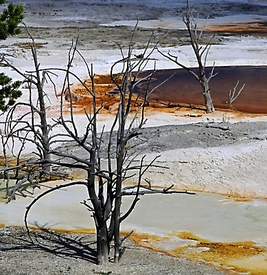 포토 JPG 해외이미지 공원 여행 자연 풍경 경사 사람없음 야외 강 골짜기 미국 황무지 급류 큼 장면 지역 멀리 울퉁불퉁 전국 해외202004 해외포토 공공시설 북아메리카 크기 생태계 파일형식 이미지허브