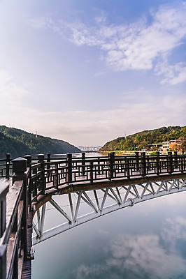 포토 JPG 주간 나무 하늘 한국 풍경 사람없음 야외 반사 경상북도 낙동강 안동 가교 월영교 국내포토 자연요소 식물 건축물 아시아 강 다리_건축물 경상도 파일형식 구미