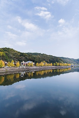 포토 JPG 주간 나무 하늘 한국 풍경 사람없음 야외 반사 경상북도 낙동강 안동 월영교 국내포토 자연요소 식물 아시아 강 다리_건축물 경상도 파일형식 구미