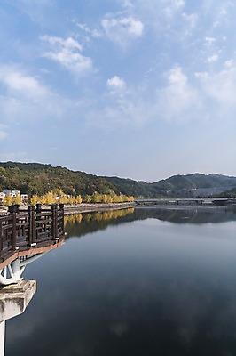 포토 JPG 주간 나무 하늘 한국 풍경 사람없음 야외 반사 경상북도 낙동강 안동 가교 월영교 국내포토 자연요소 식물 건축물 아시아 강 다리_건축물 경상도 파일형식 구미