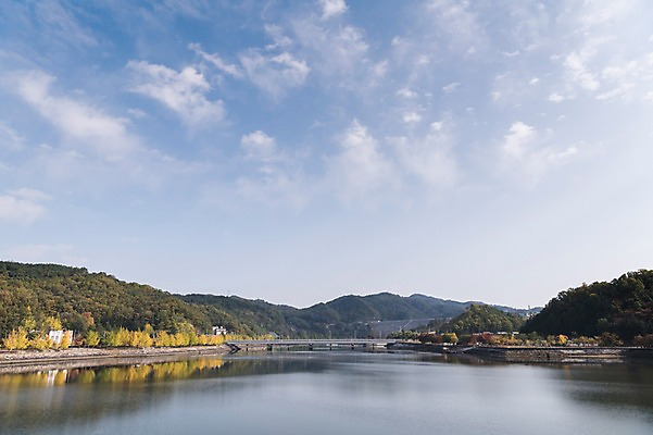 포토 JPG 주간 나무 구름 하늘 산 한국 풍경 사람없음 야외 경상북도 낙동강 안동 월영교 국내포토 자연요소 식물 아시아 강 다리_건축물 경상도 파일형식 구미