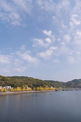 포토 JPG 주간 나무 구름 하늘 한국 풍경 사람없음 야외 경상북도 낙동강 안동 가교 월영교 국내포토 자연요소 식물 건축물 아시아 강 다리_건축물 경상도 파일형식 구미